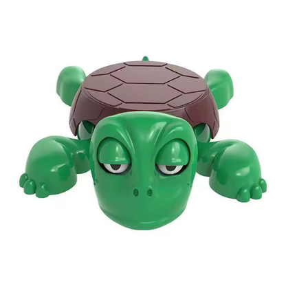 Panicked Turtle Coaster